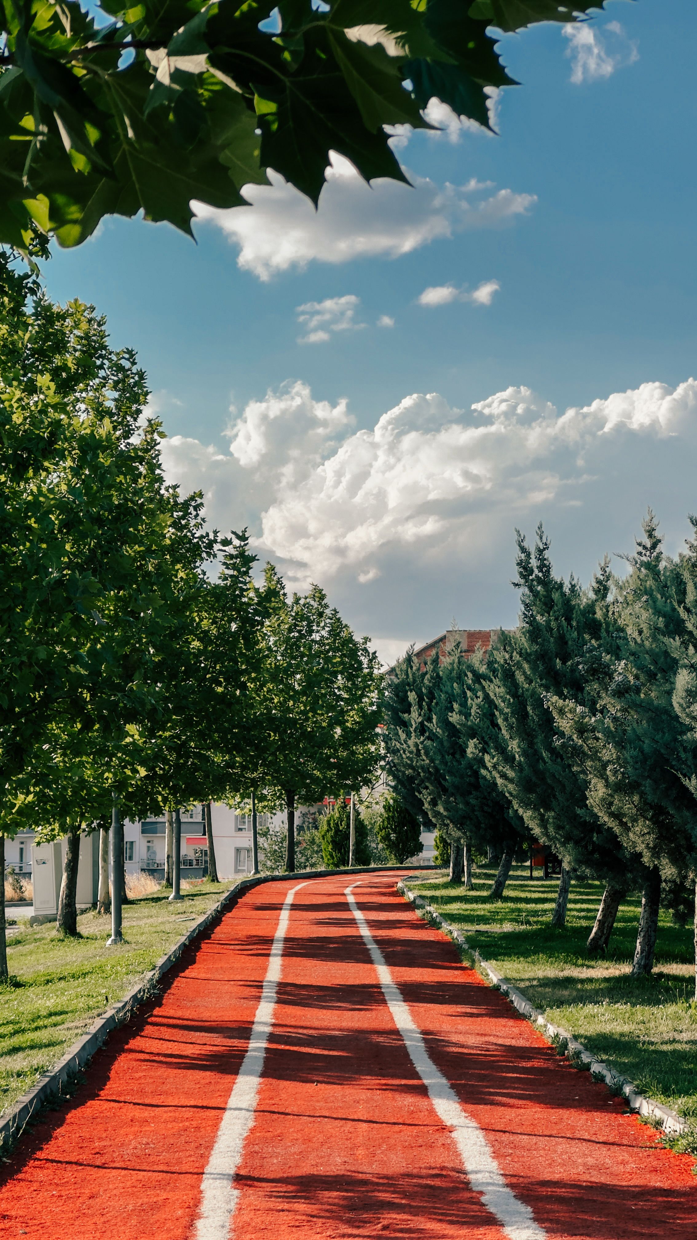 Kırmızı renkli asfalt yürüyüş yolu ve peyzaj uygulaması
